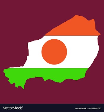 Detailed of a map of niger with flag eps10 vector image