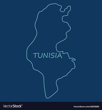 Detailed of tunisia map vector image