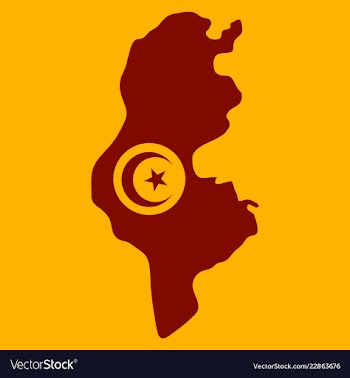 Detailed of tunisia map vector image