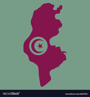Detailed of tunisia map vector image