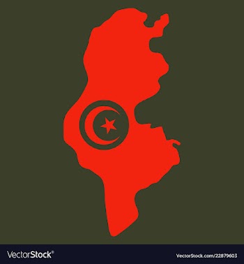 Detailed of tunisia map vector image