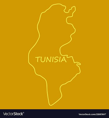 Detailed of tunisia map vector image