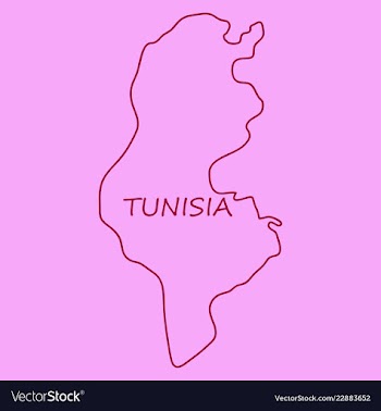 Detailed of tunisia map vector image