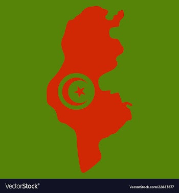 Detailed of tunisia map vector image