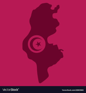 Detailed of tunisia map vector image
