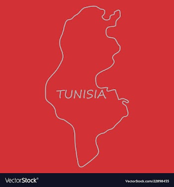 Detailed of tunisia map vector image