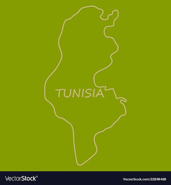 Detailed of tunisia map vector image