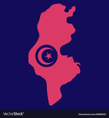Detailed of tunisia map vector image
