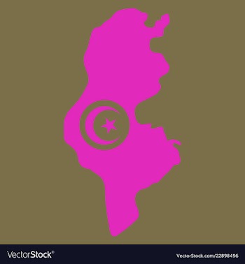Detailed of tunisia map vector image