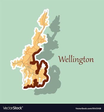 Detailed sticker map of wellington new zealand vector image