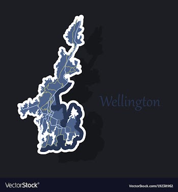 Detailed sticker map of wellington new zealand vector image