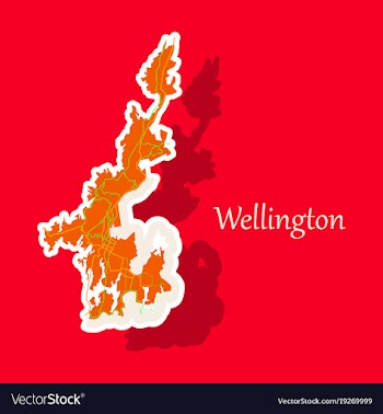 Detailed sticker map of wellington new zealand vector image