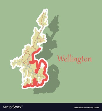 Detailed sticker map of wellington new zealand vector image