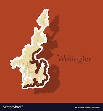Detailed sticker map of wellington new zealand vector image