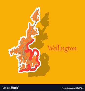 Detailed sticker map of wellington new zealand vector image