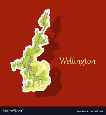 Detailed sticker map of wellington new zealand vector image