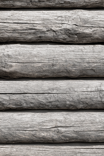 Detailed Texture of Weathered Rustic Log Cabin Wall
