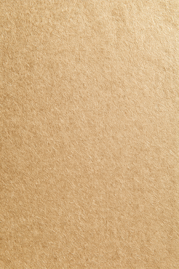 Detailed Unbleached Kraft Paper Texture