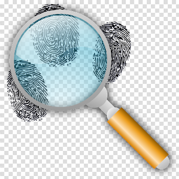 Detective Clues Find - Free vector graphic on Pixabay