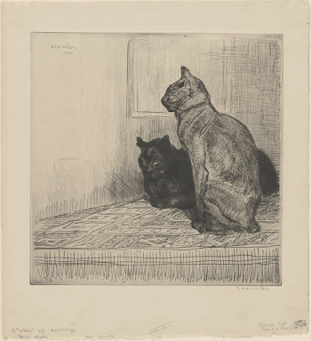 Deux chats sur un meuble | Free Photo - rawpixel
