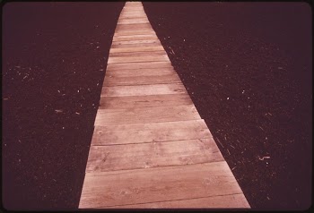 "Devastation Trail" is the name | Free Photo - rawpixel
