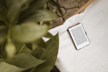 Device Near Green Leafed Plant