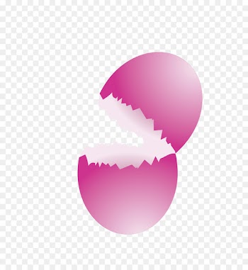 Deviled egg Chicken Eggshell - Cartoon broken egg 