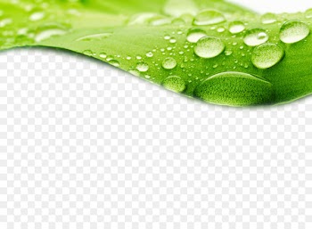 Dew Drop Leaf Stock photography Wallpaper - Crystal water droplets with green leaves HD photography pictures 