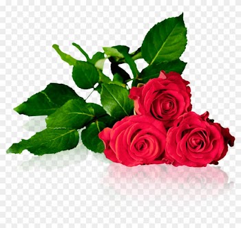Dgc Trading - Death Among The Roses - Epub