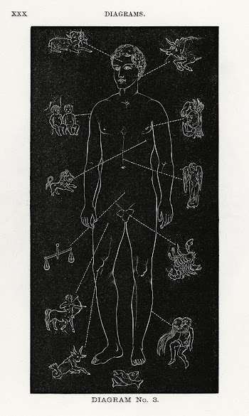 Diagram no.3 print in high resolution from… | Free public domain illustration