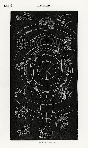 Diagram no.6 print in high resolution from… | Free public domain illustration