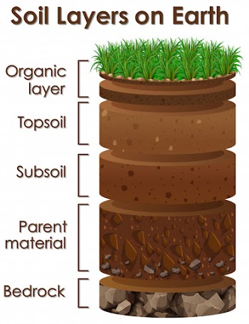 Diagram showing soil layers on earth Free Vector