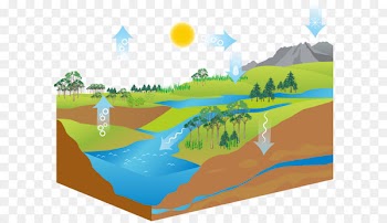 Diagram Water cycle Stock illustration - Air cycle ecosystem 