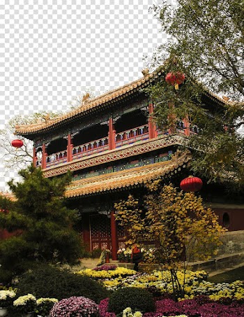 Diaoyutai Ginkgo Avenue Autumn leaf color Season Weather, Beihai Park transparent background PNG clipart