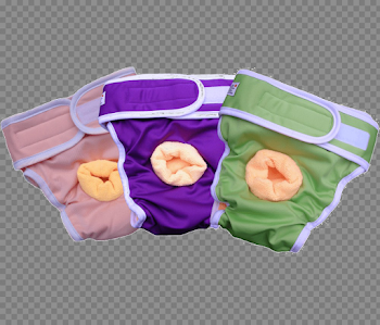 Diaper PNG Picture