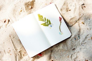 Diary throwback adventure | Free stock photo - 866