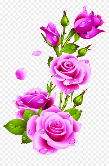Dibujo De Flores - Rose Frame