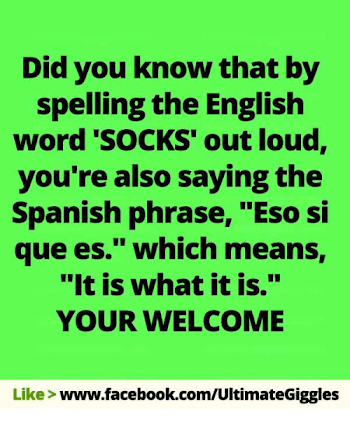 Did You Know That by Spelling the English Word 'SOCKS' Out Loud ...