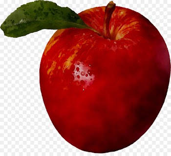 Diet food Accessory fruit Natural foods -  