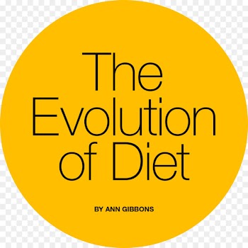 Diet Food Human nutrition History Evolution - ancestor infographic 