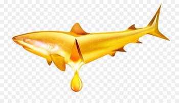 Dietary supplement Fish oil Cod liver oil Docosahexaenoic acid Eicosapentaenoic acid - Cod liver oil material Free Download 