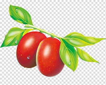 Dietary supplement Jujube Packaging and labeling Fruit Marketing, Dates transparent background PNG clipart
