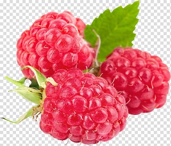 Dietary supplement Raspberry ketone Health Antioxidant, Raspberry fruit transparent background PNG clipart