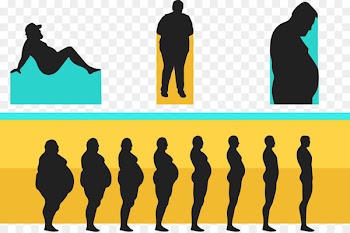Dietary supplement Weight loss Weight management Adipose tissue - Fitness weight loss vector 