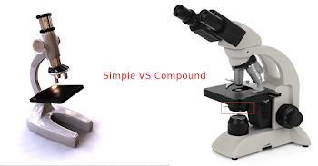 Difference between simple and compound microscope - Microscope Heroes