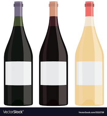 Different flavor bottles of wine with blank label vector image