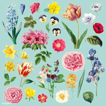 Different flowers painting set | Free stock vector - 564270