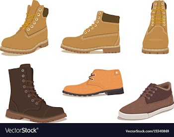  					Different kind of shoes vector image														