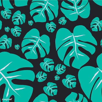 Different style leaves vector | Free stock vector - 44934