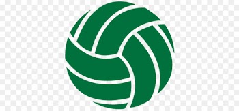 Dig This! Volleyball Club Vector graphics Volleyball player Illustration - baseball league flyer 